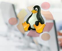 Outsource Linux Server Support